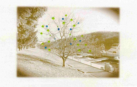 aspinwall-marina-card davison supports aspinwall marina pittsburgh