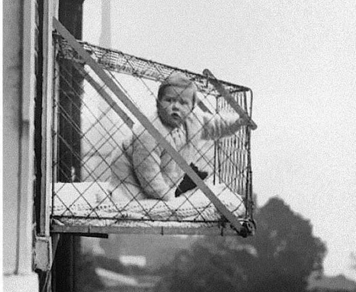 Baby in a Window Cage Baby in a Window Cage
