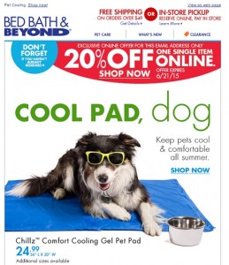 Bed Bath and Beyond Email Bed Bath and Beyond Email