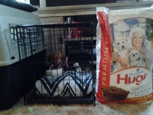 BREW- Hugs Pet Products BREW- Hugs Pet Products