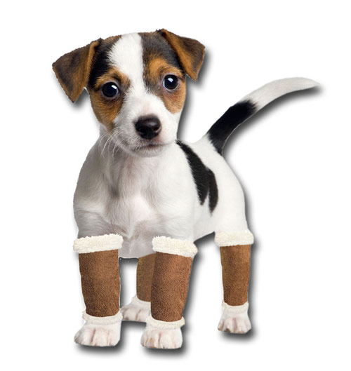 pugz leg warmers in use