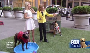 Fox and Friends pool segment Hydro Lines on Fox and Friends