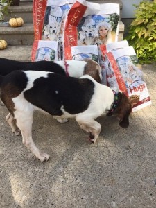 Hugs Pet Products - Midwest BREW Hugs Pet Products - Midwest BREW