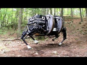 Robotic Donkey