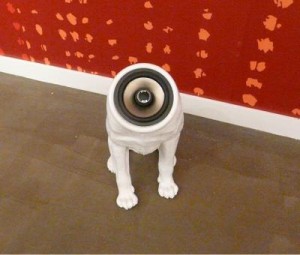 Woofer Speaker